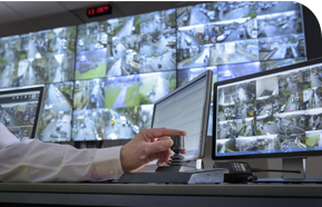 2025年澳门免费原料网