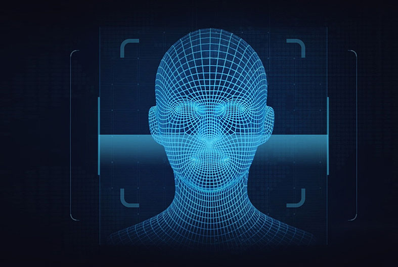 2025年澳门免费原料网