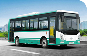 2025年澳门免费原料网