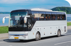 2025年澳门免费原料网