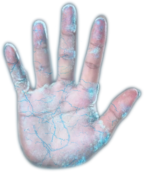 2025年澳门免费原料网