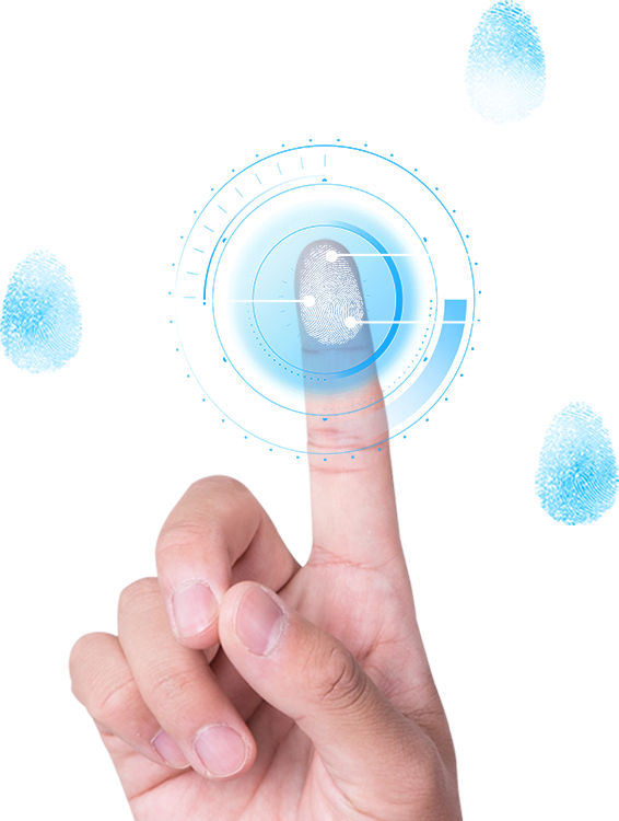 2025年澳门免费原料网