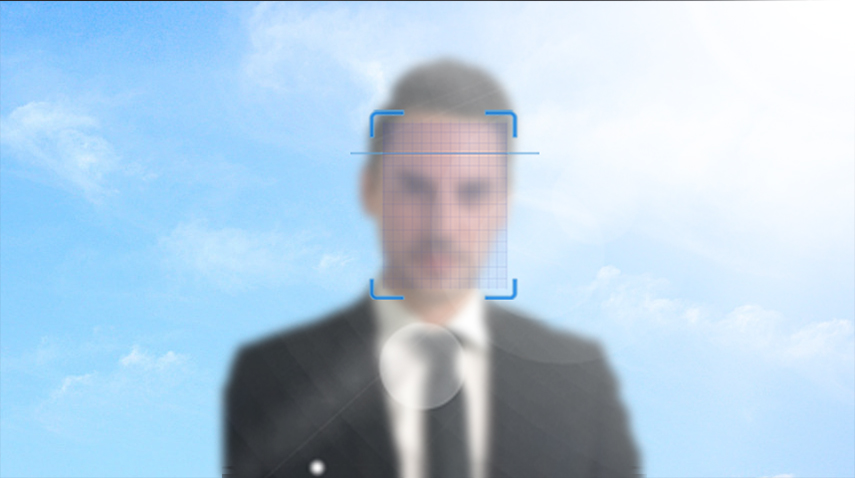 2025年澳门免费原料网