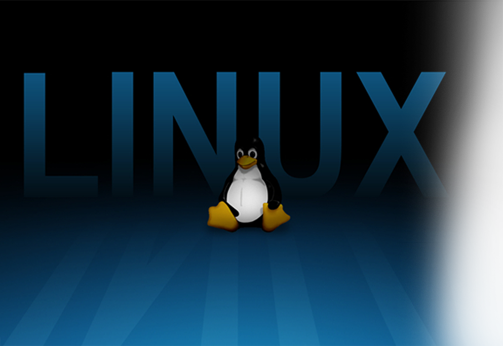 2025年澳门免费原料网