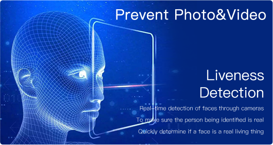 2025年澳门免费原料网