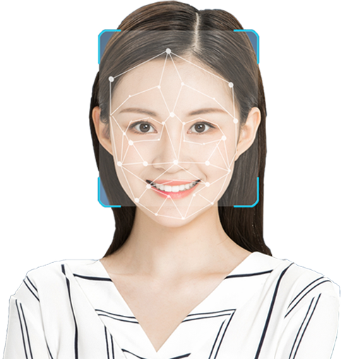 2025年澳门免费原料网