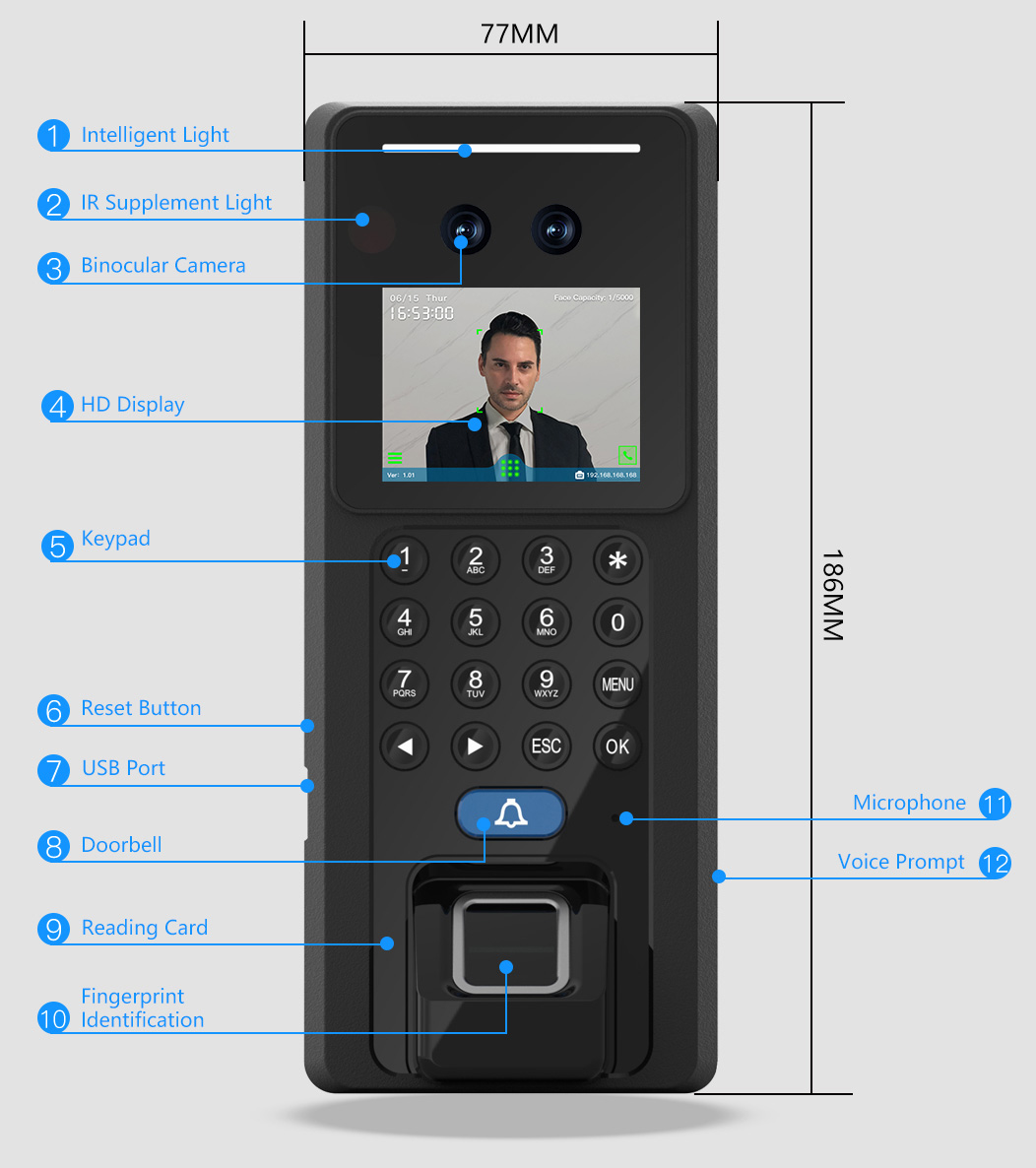 2025年澳门免费原料网