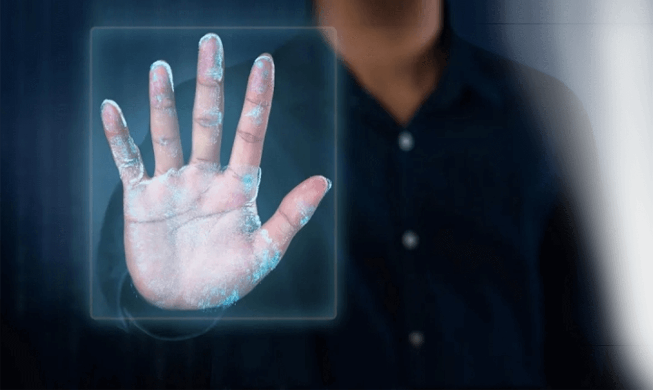 2025年澳门免费原料网