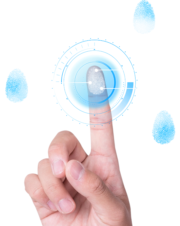 2025年澳门免费原料网