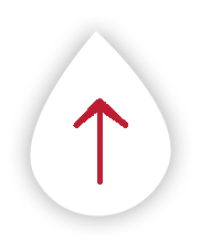 2025年澳门免费原料网