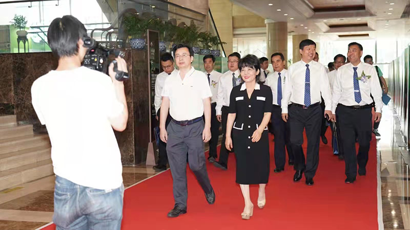 2025年澳门免费原料网