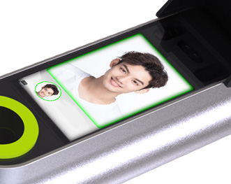 2025年澳门免费原料网