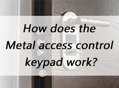 2025年澳门免费原料网