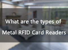 2025年澳门免费原料网