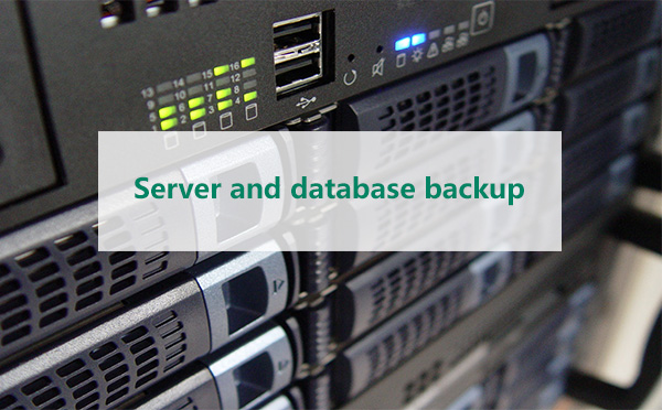 Server and database backup Server and database backup