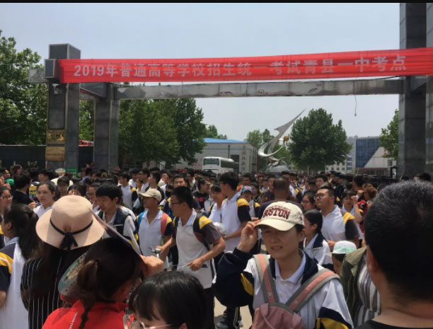 2025年澳门免费原料网