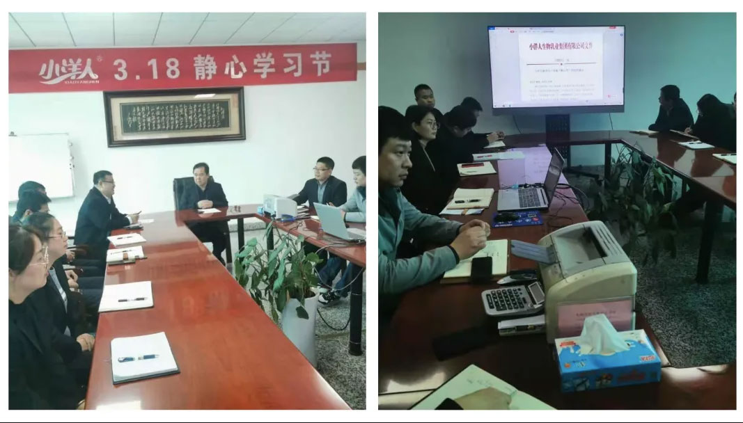 2025年澳门免费原料网