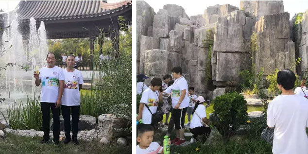 2025年澳门免费原料网