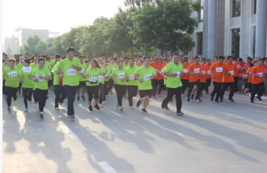 2025年澳门免费原料网