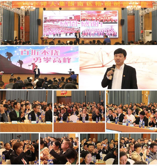 2025年澳门免费原料网