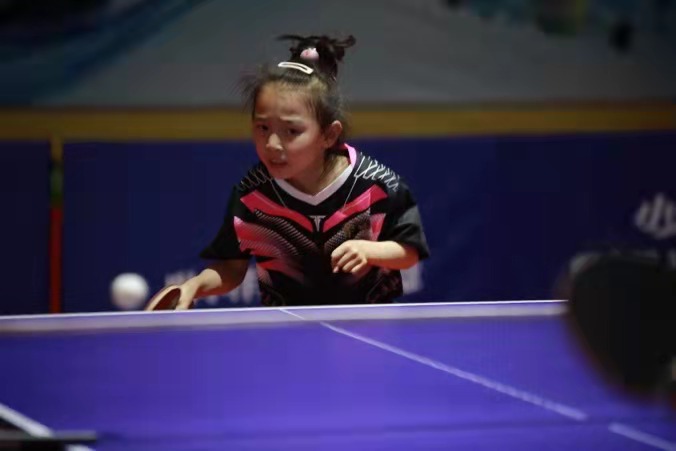 2025年澳门免费原料网