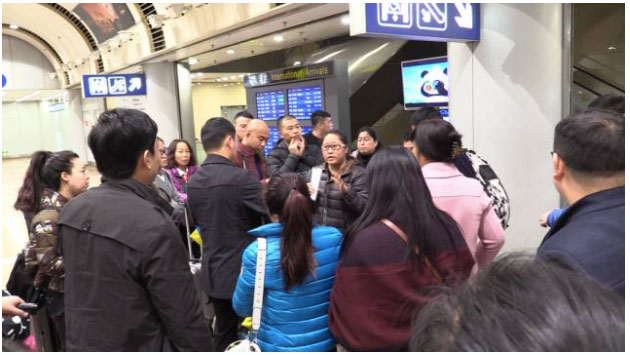 2025年澳门免费原料网