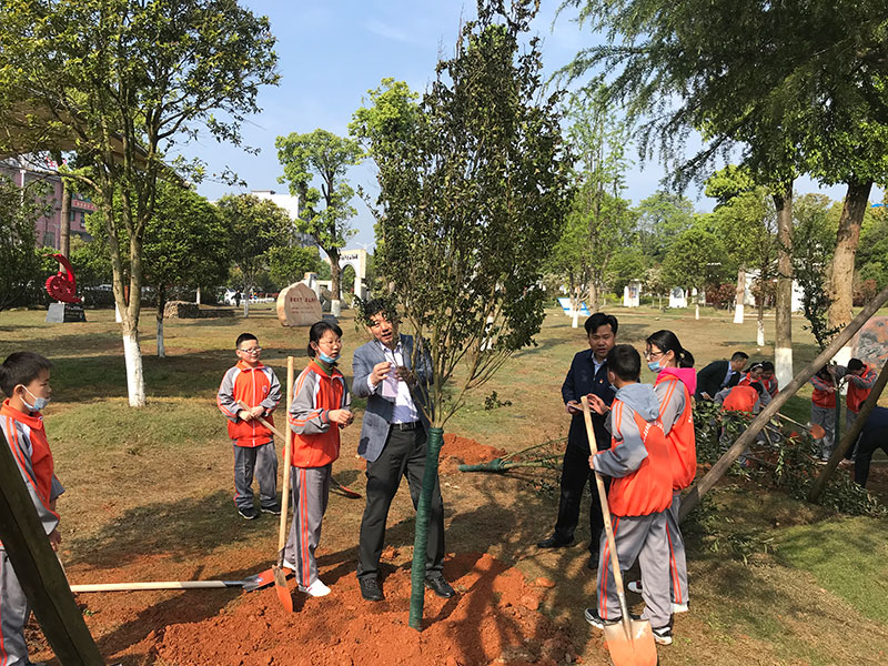 2025年澳门免费原料网