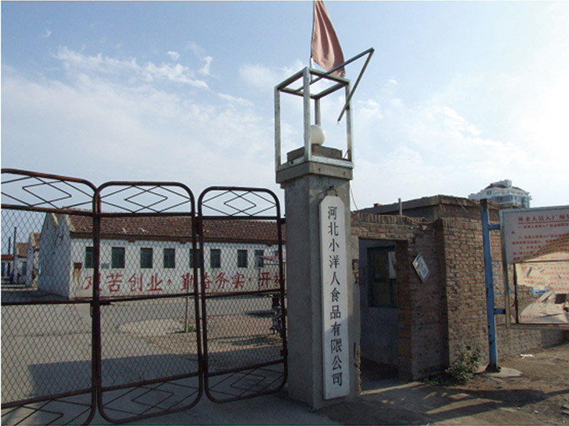 2025年澳门免费原料网