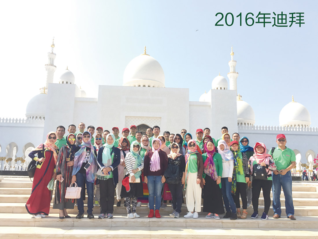 2025年澳门免费原料网