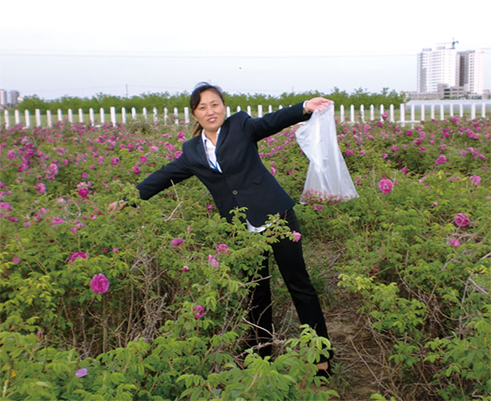 2025年澳门免费原料网