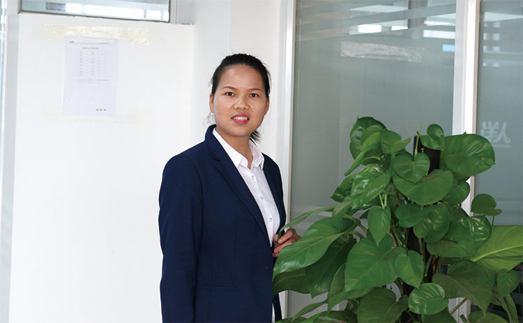 2025年澳门免费原料网