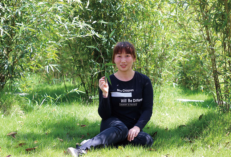 2025年澳门免费原料网