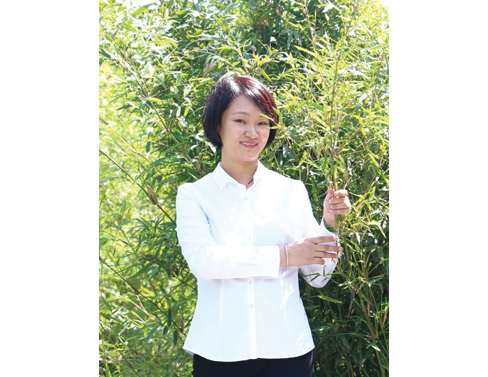 2025年澳门免费原料网