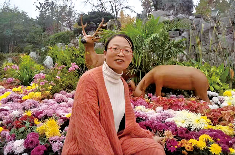 2025年澳门免费原料网