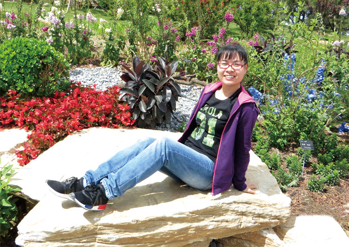 2025年澳门免费原料网