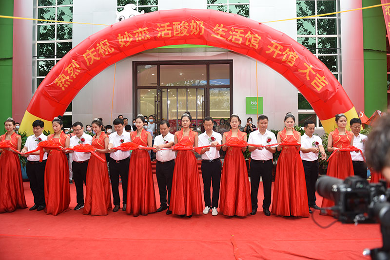 2025年澳门免费原料网