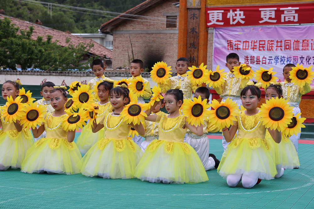 2025年澳门免费原料网