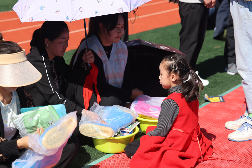 2025年澳门免费原料网