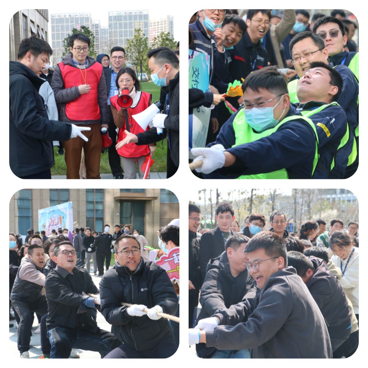 2025年澳门免费原料网