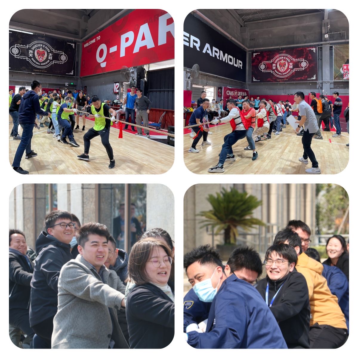 2025年澳门免费原料网